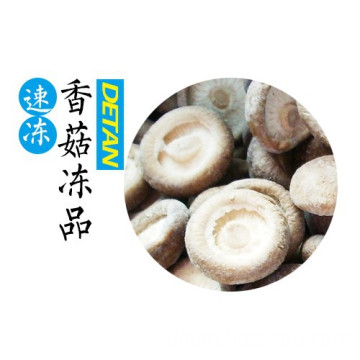 Organic Frozen Shiitake Mushroom Whole